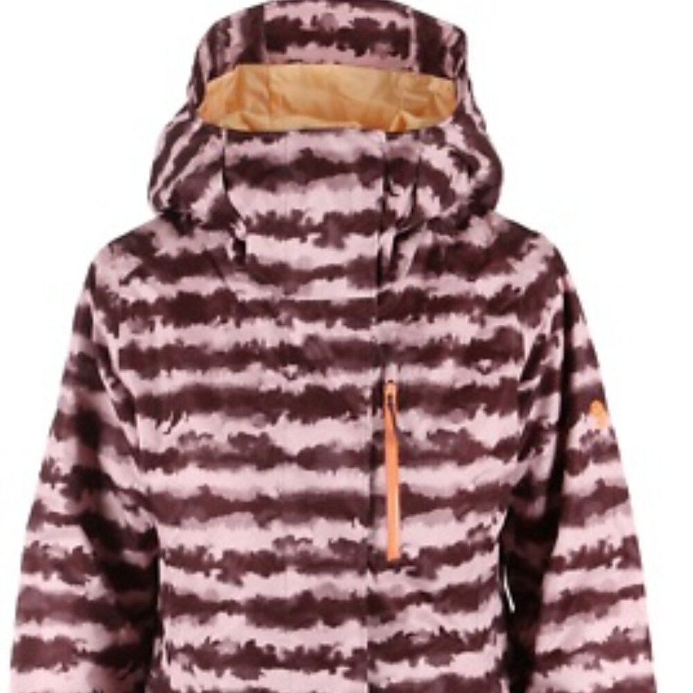 Mountain Hardwear Barnsie Ski/Snowboard Coat